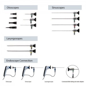 Endoscopes