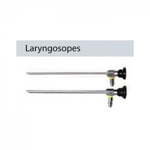 Endoscopes